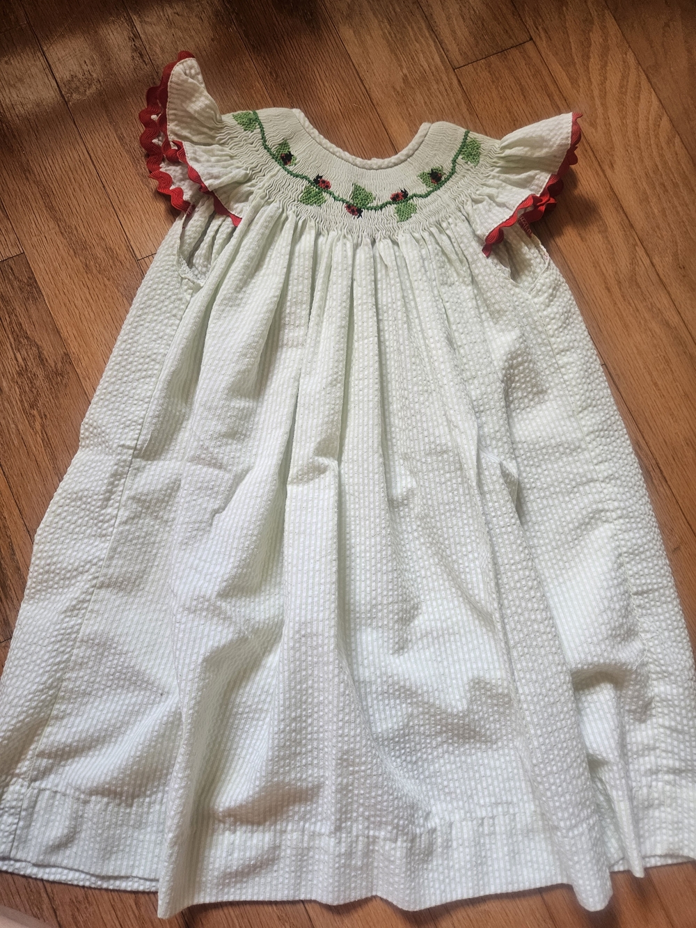 Ladybug Smocked Dress